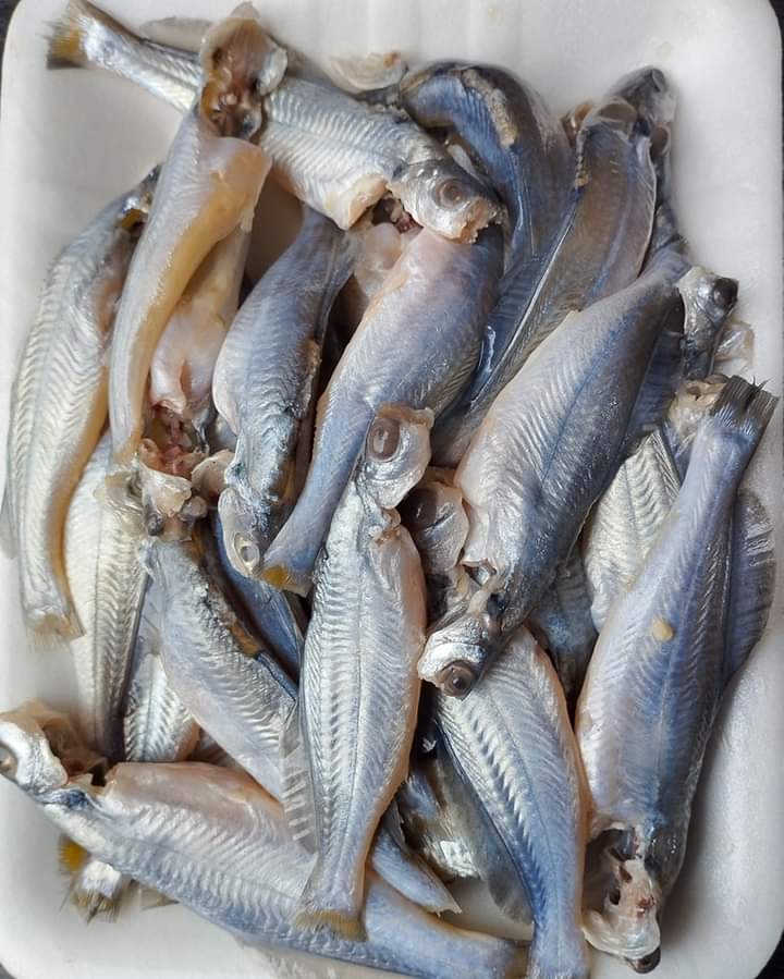 নদীর গুলশা টেংরা