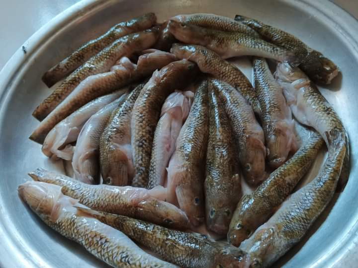নদীর বেলে মাছ প্রতি কেজি (রেগুলার সাইজ)। River Bele (Regular Size)
