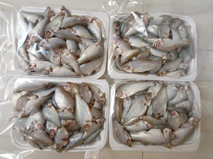 দেশি পুটি (মিক্সড সাইজ) Deshi Puti (Mixed Size)