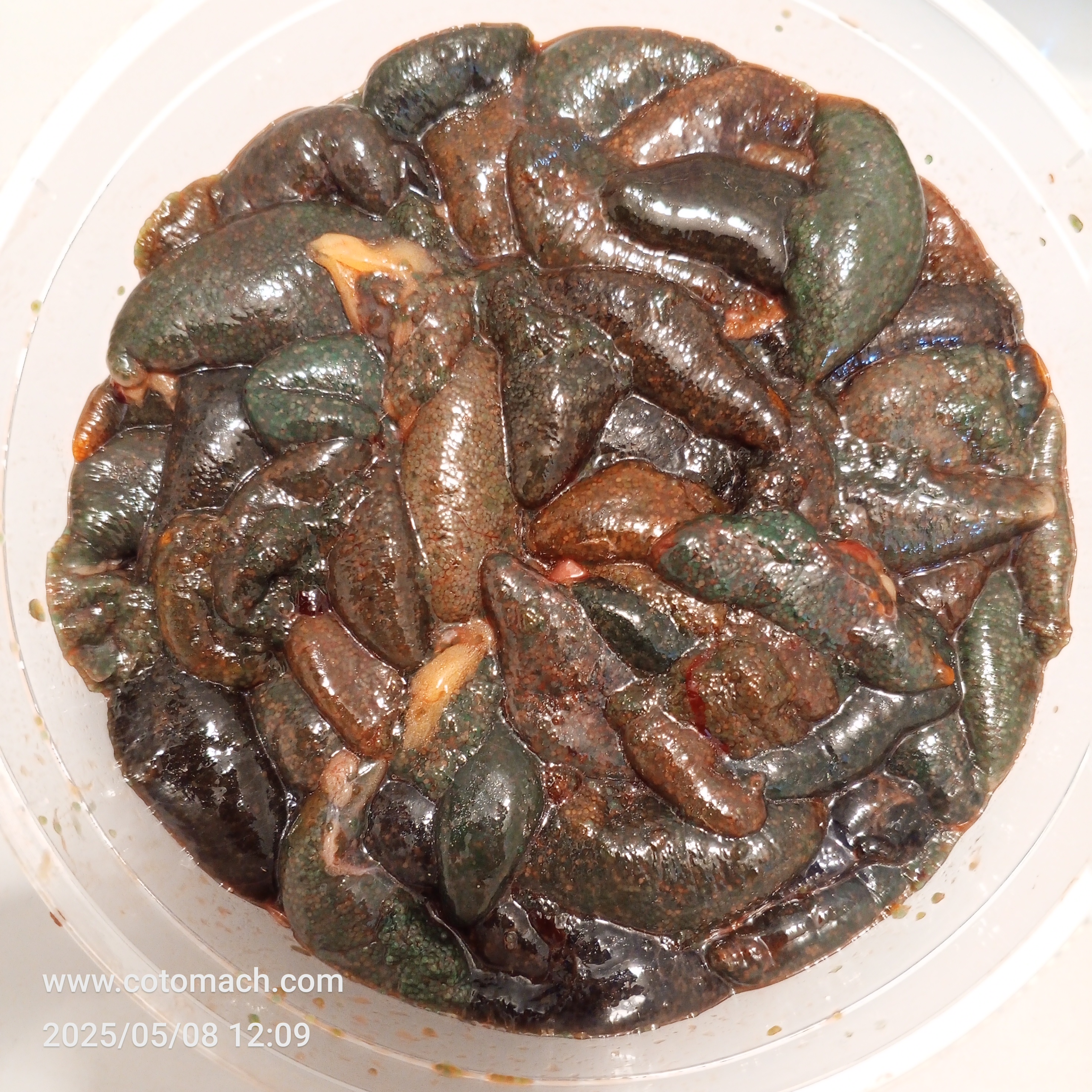 শি মাছের ডিম ১কেজি ll  Shing Egg 1kg