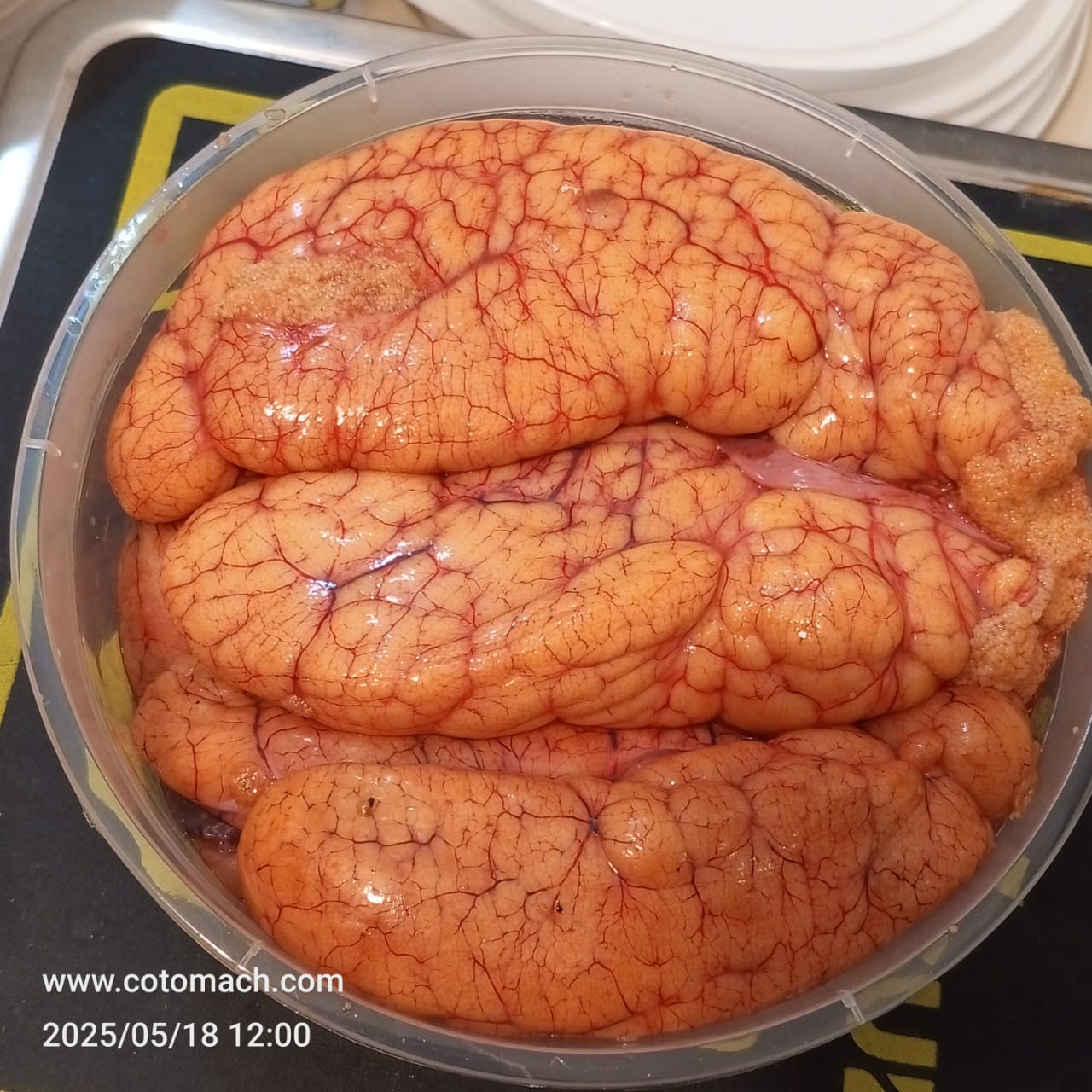 নদীর পাঙাশ মাছের ডিম । Pangash Egg-1kg