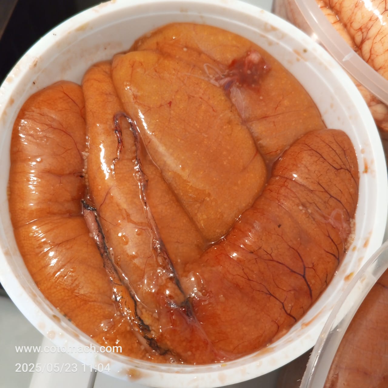 বোয়াল মাছের ডিম ।। Boyal Egg প্রতি কেজি