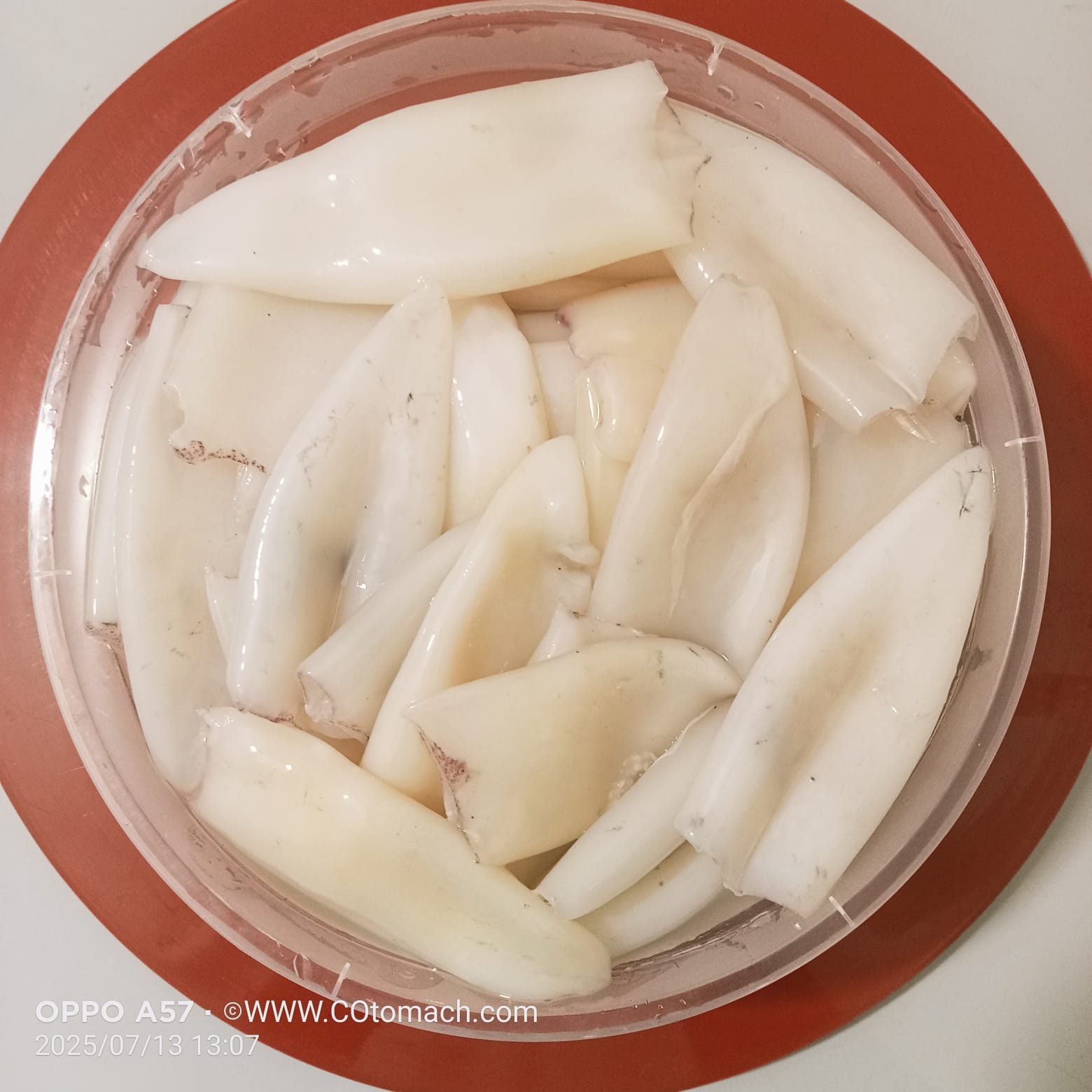 ফ্রেশ ও ক্লিন স্কুইড (৫০০গ্রাম)