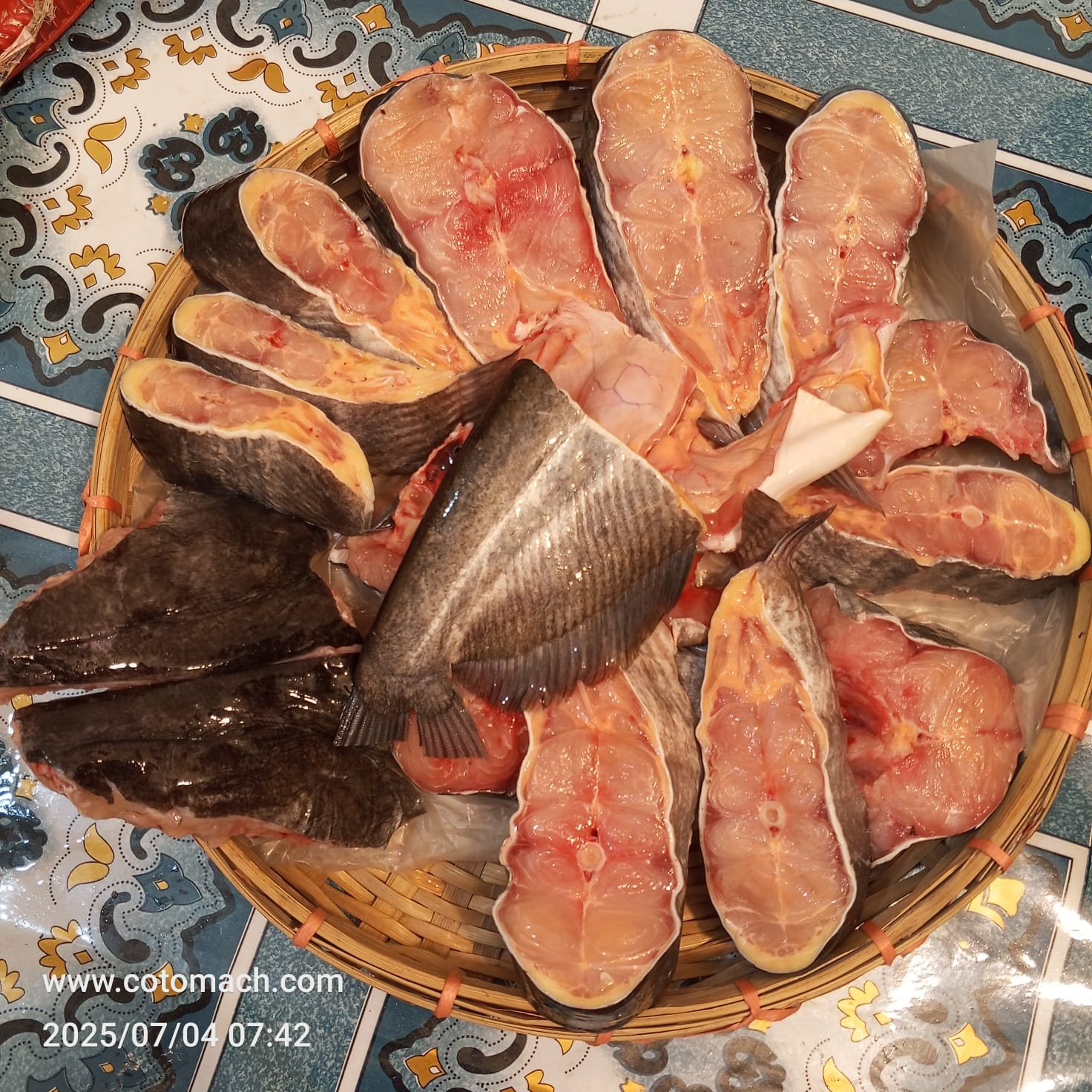 বোয়াল মাছের ভাগা (সলিড পিস)