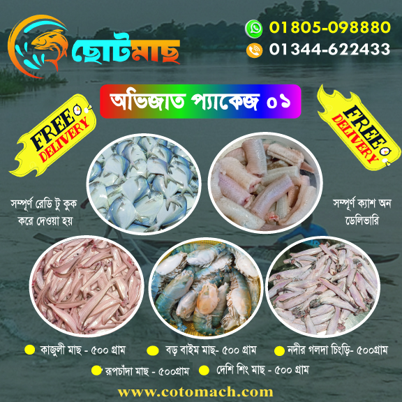 অভিজাত প্যাকেজ[কোড: 01] (৫ আইটেমের মাছ) - ২.৫ কেজি
