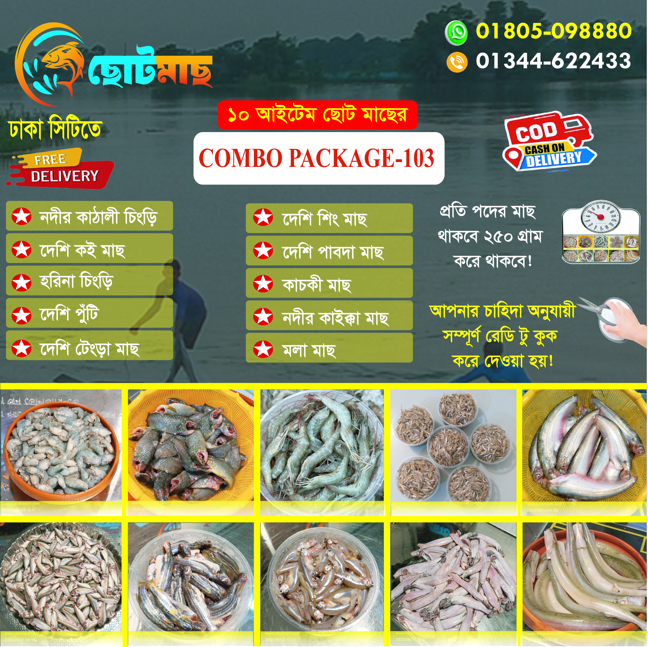 10 আইটেম ছোট মাছের Combo  Package - 103