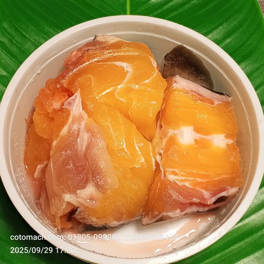 বাঘা আইর মাছের ভাগা-৫০০গ্রাম
