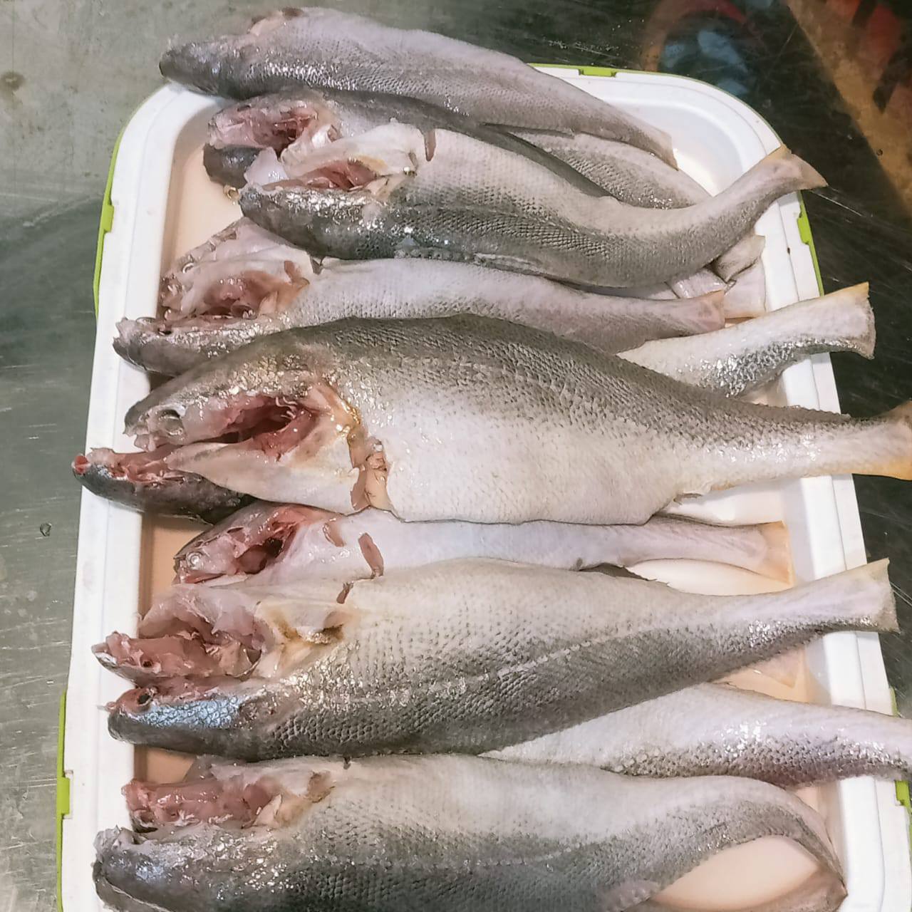 নদীর পোয়া মাছ - ১ কেজি