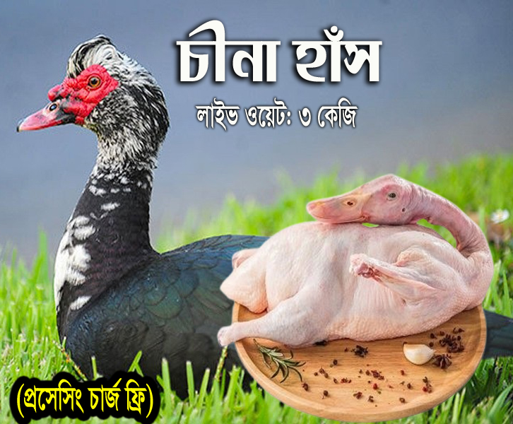 Deshi China Duck (দেশি চীনা হাঁস) - লাইভ ওয়েট 3 কেজি)