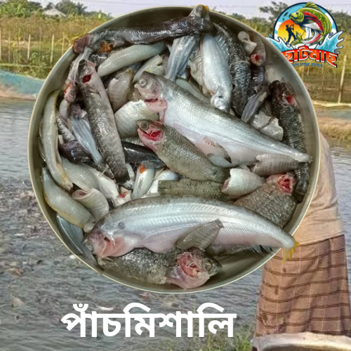 পাঁচমিশালি (ঘেরের) ২কেজি