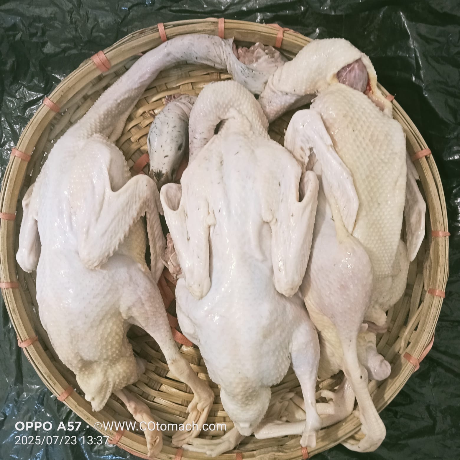 Deshi Duck((1kg+After Dressing) II দেশি হাঁসের মাংস -প্রতি পিস