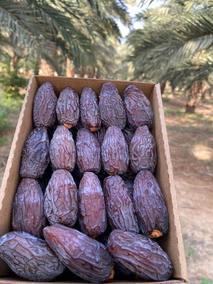Medjool-Extra large(Jamboo) - 1kg