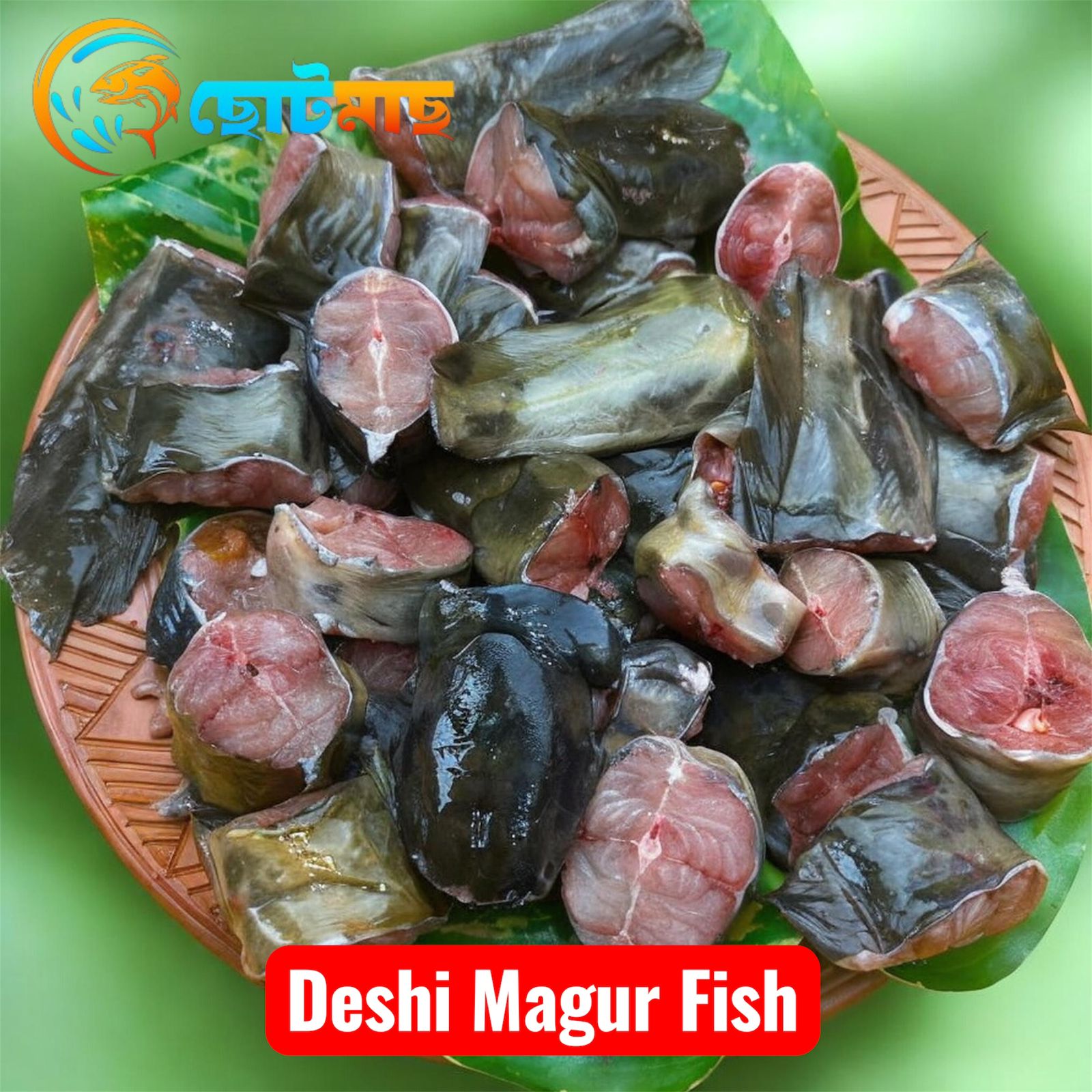 দেশি মাগুর