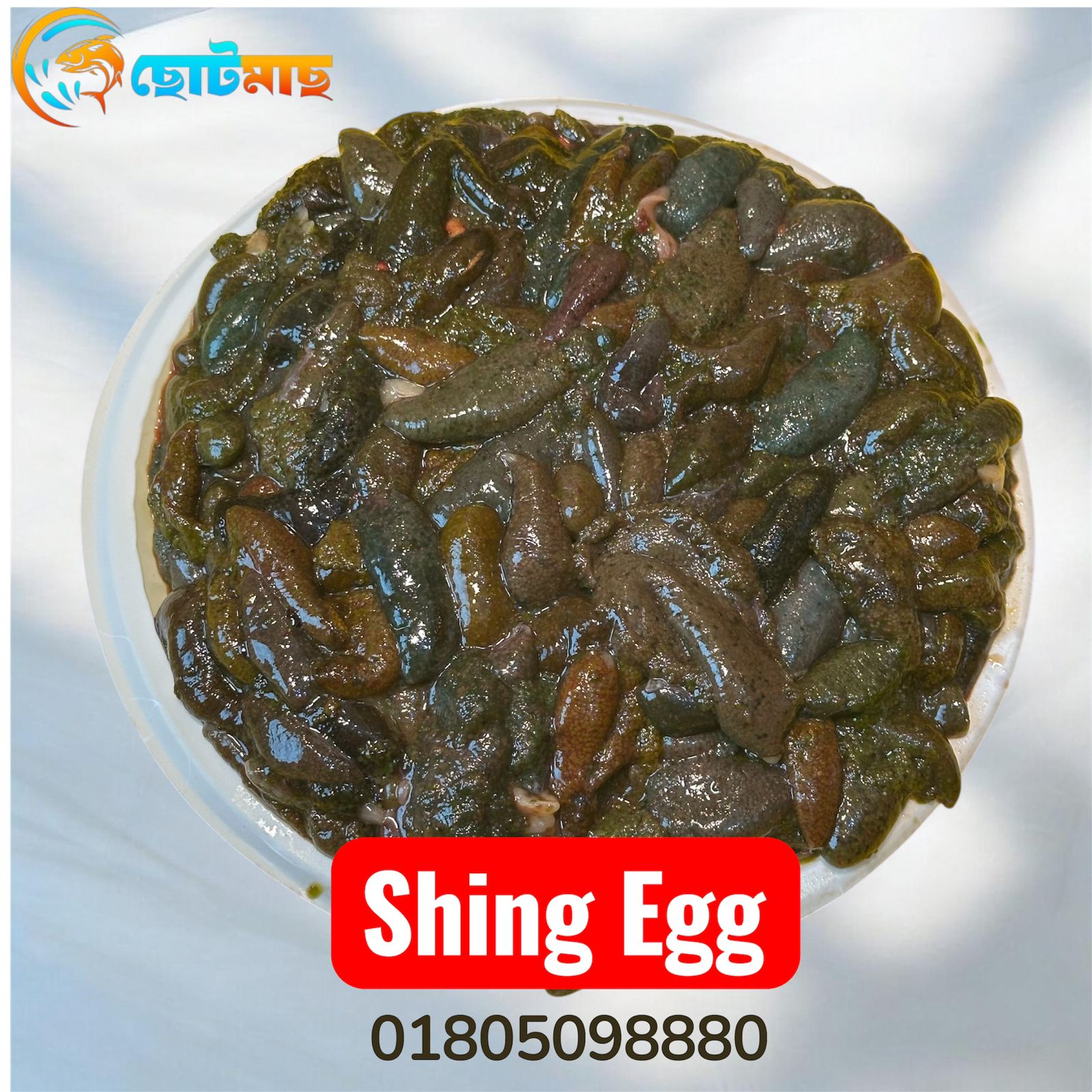Shing Egg - হাফ Kg II শিং মাছের ডিম - ১ কেজি