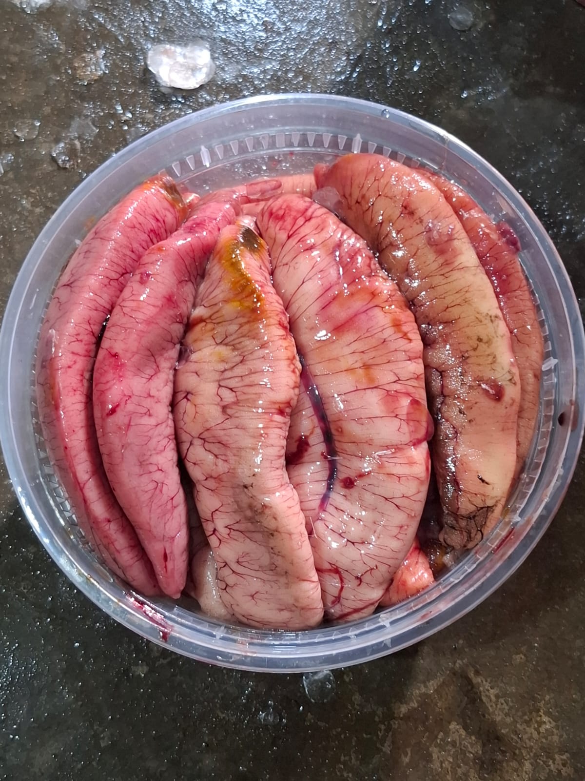 ইলিশের ডিম হাফ কেজি