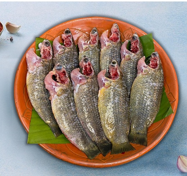 Deshi Koi (6-7Pcs) - 1kg (দেশি কৈ মাছ 6-7পিসে কেজি)